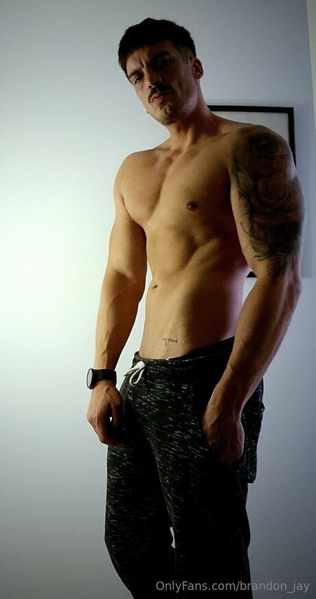 Brandon Jay erotische pornostar galerien