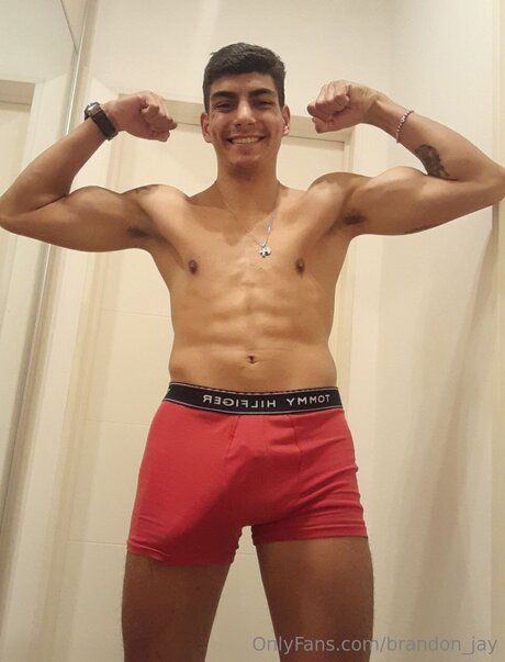 Brandon Jay kunst pornographische galerien