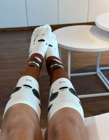 Miagrecox kunst schöne foto