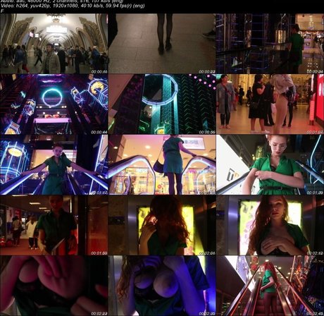 Vulpes hd kunst foto