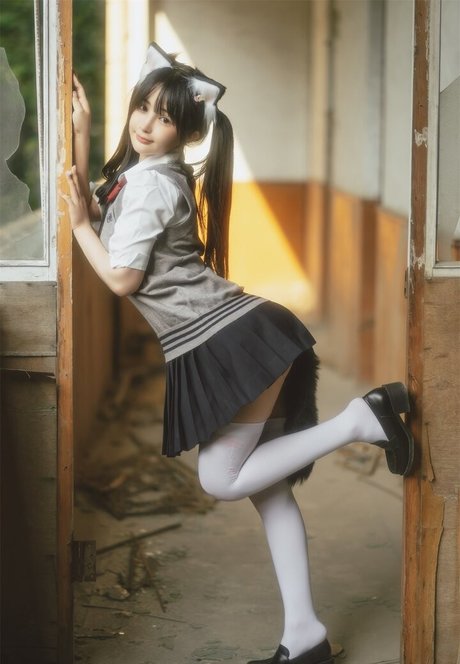 Aninnyan top freie bilder