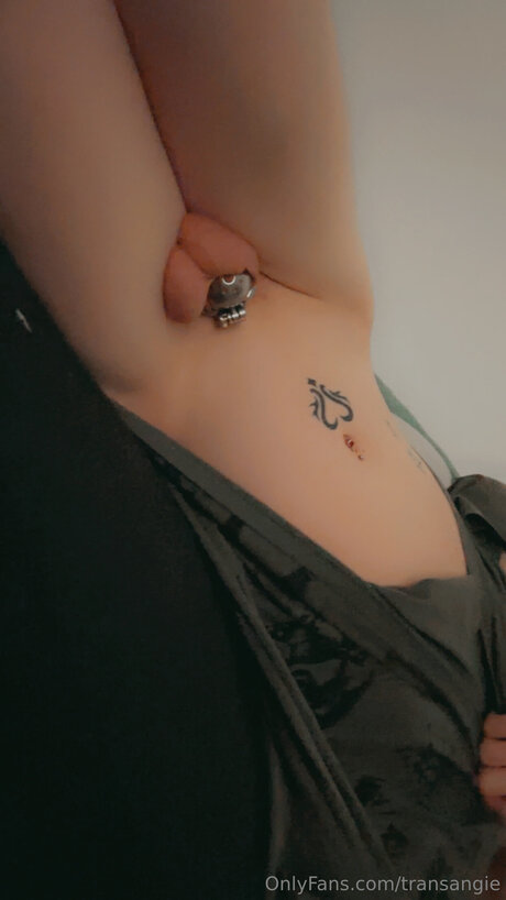 Transangie hd top archiv