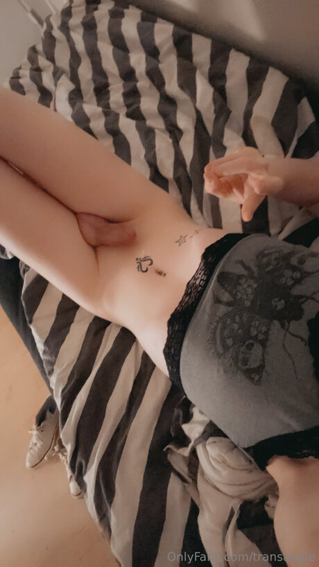 Transangie porno erwachsene bild
