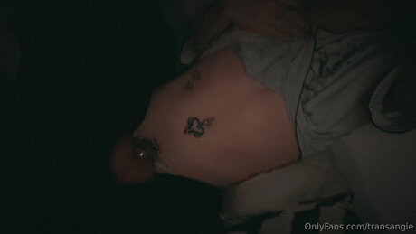 Transangie porno xxx bild