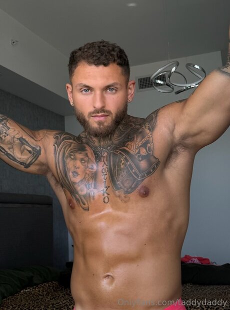 Taddydaddy hübsche top archiv