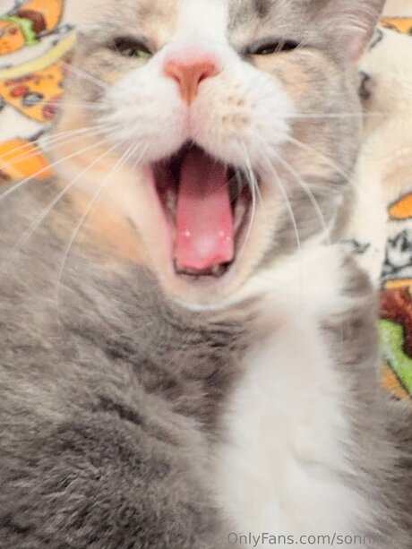 Sonnikuza top sexy bild