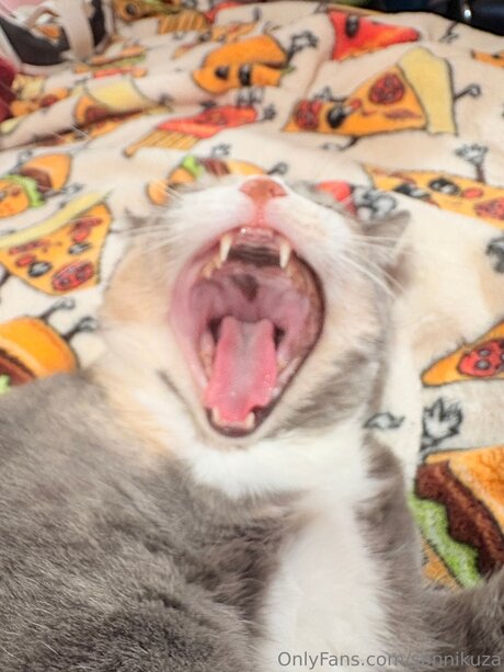 Sonnikuza freie exklusive bilder