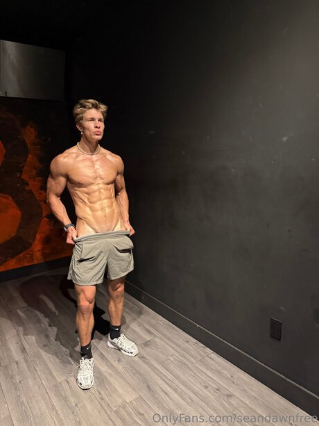 Seandawnfree beste fotos