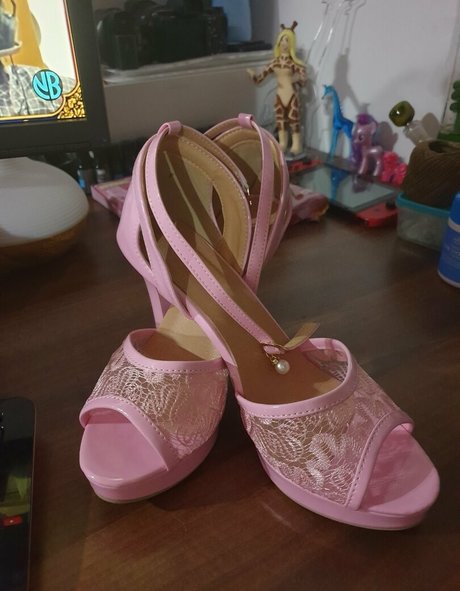 lexialynx kostenlose perfekte bild