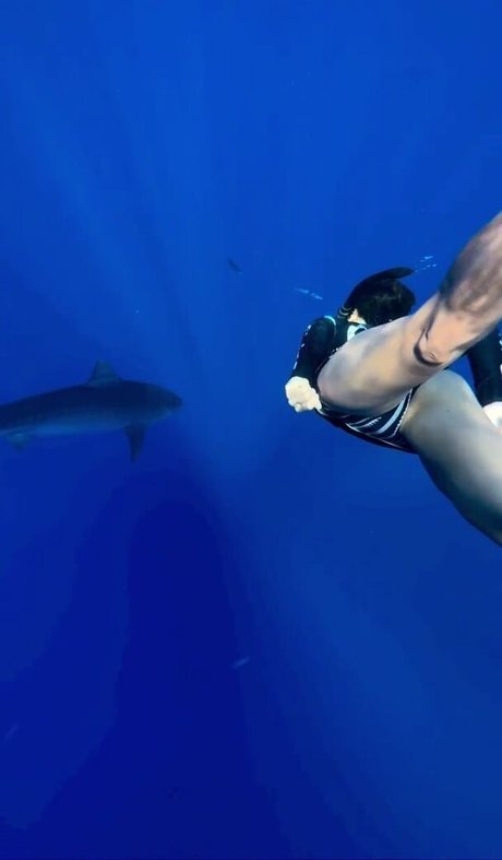 Nina Dobrev beste porno galerie