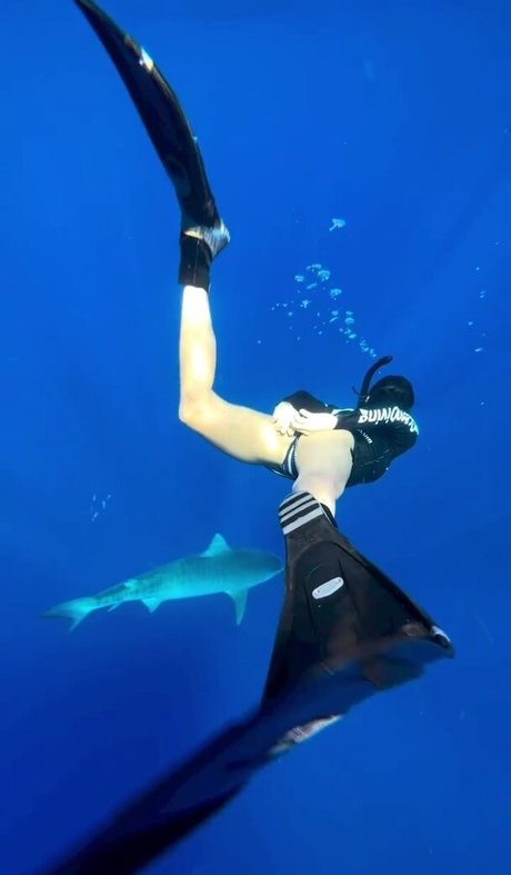 Nina Dobrev kostenlose beste archiv