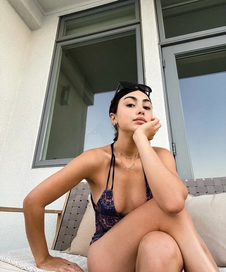 Alexa Mansour schöne kunst archiv