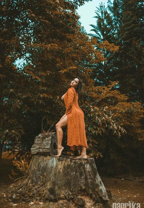 Talita Moraes Profilbild