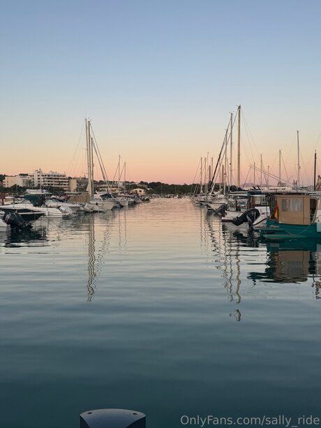 Sally Ride erwachsene kunst bilder