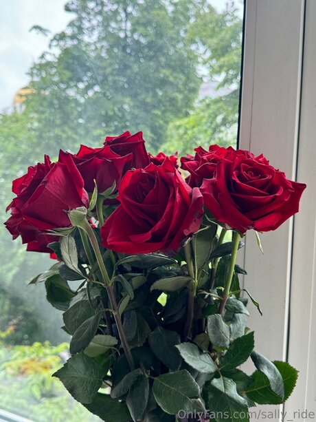 Sally Ride erotische kunst bilder