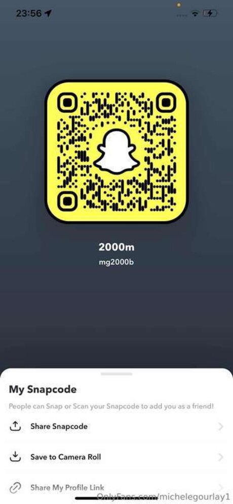 Michelegourlay1 Bilder