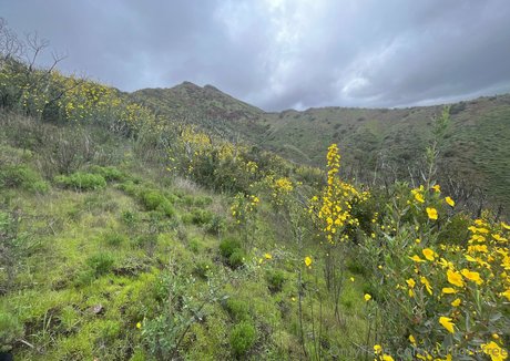 ccflightfree kostenlose nacktheit archiv