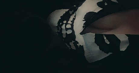 misscharliestoybox hd kunst bilder