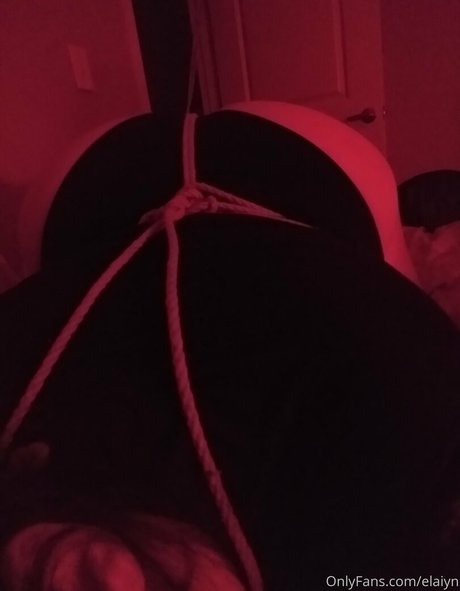 evelynmusefree Profilbild