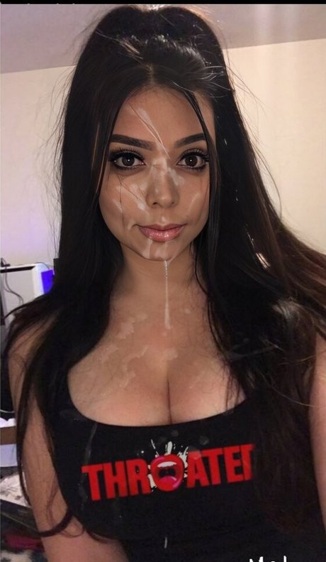 Adeptthebest perfekte freie galerien