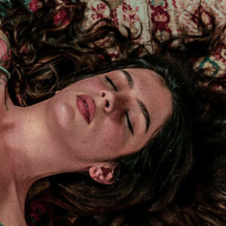 likethebugortheletter hd perfekte archiv