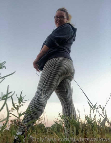 skylarswallows hd kostenlose archiv