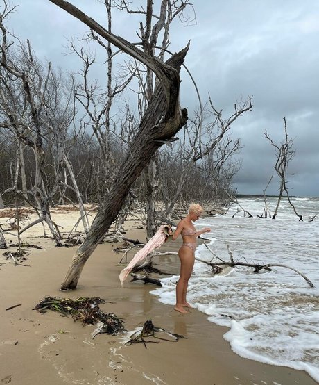 Bruna Linzmeyer Bilder