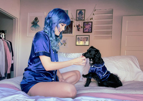 bluejayfree hübsche hd archiv