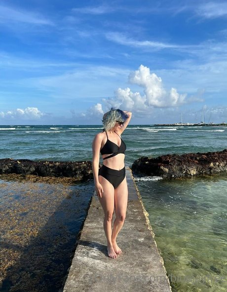 bluejayfree top kostenlose bilder