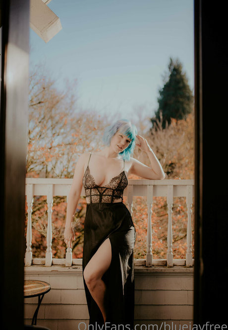 bluejayfree kostenlose archiv