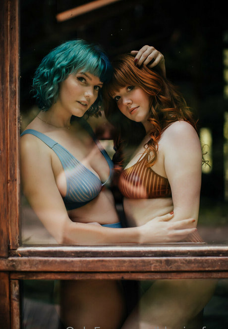 bluejayfree hd top fotos