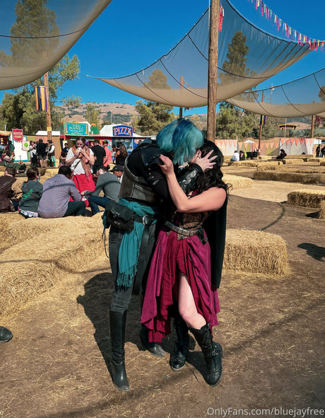 bluejayfree hd hübsche galerien