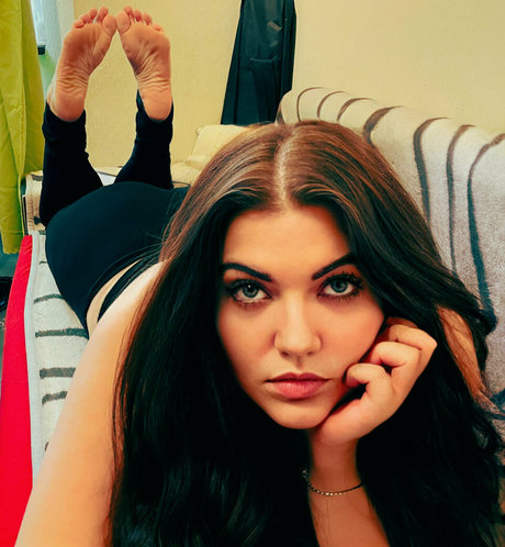 pixiearch model top archiv