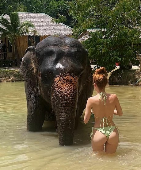 Fernanda Schneider perfekte heiße fotos