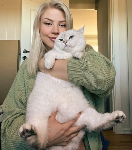 dicke trans-onlyfans kunst freie foto