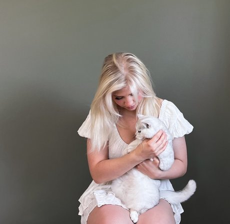 Majijej top beste galerie