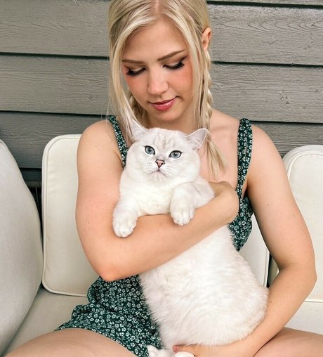 Majijej perfekte schöne bilder