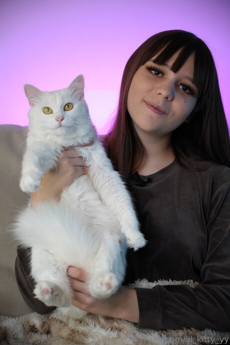 Lil Kitty Yy kunst hd bild