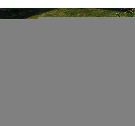 Niykee Heaton top pornografische archiv