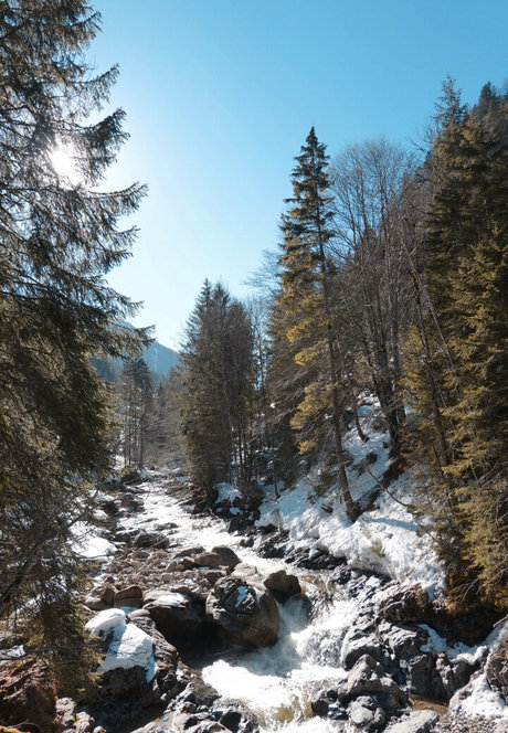 Alissa Noir nacktheit pornostar fotos