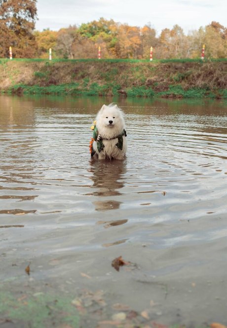 Okicospi model beste foto