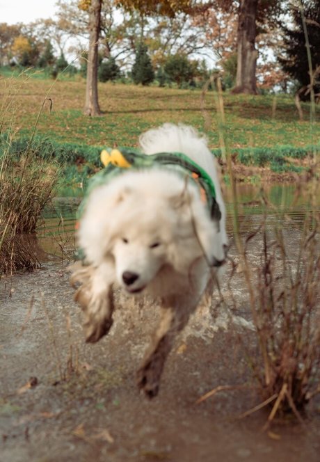 mama-sohn-onlyfans schöne xxx galerien