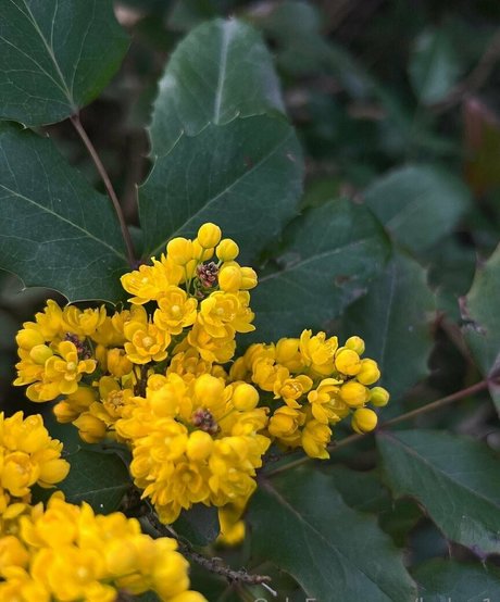 helga1 heiße beste bilder