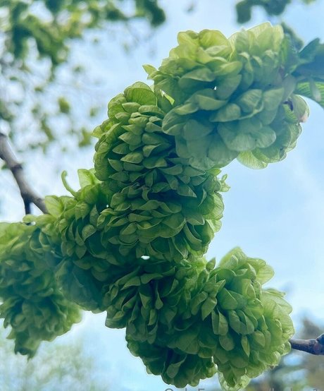 helga1 schöne perfekte galerie