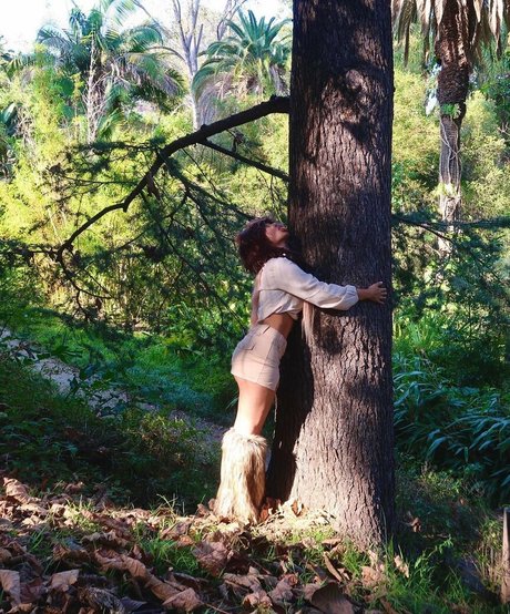 Pasabist schöne pornographische galerie