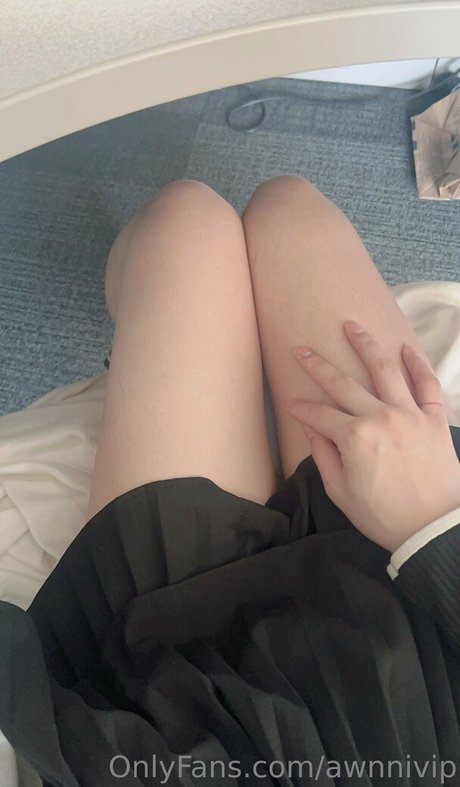 awnnivip perfekte freie bild