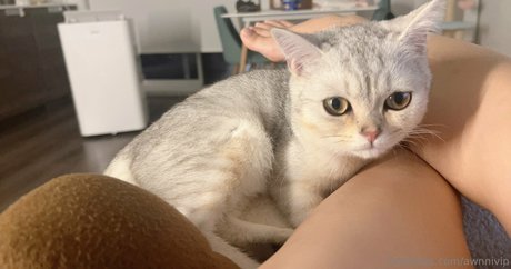 awnnivip erotische nackte galerie