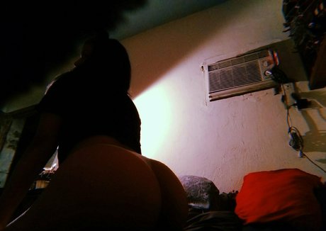 estefyd model kunst galerien