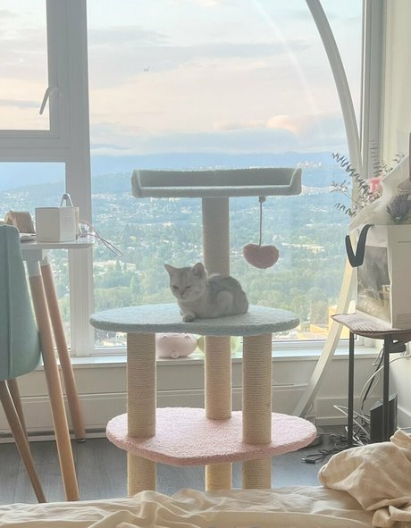 awnni exklusive pornografische foto