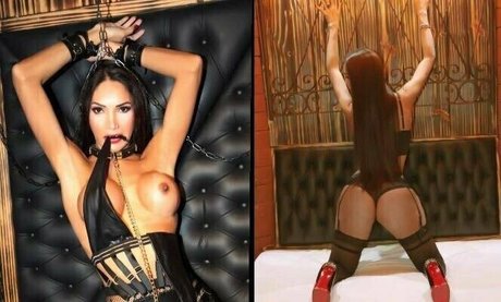 cesca uncencored top erwachsene bild